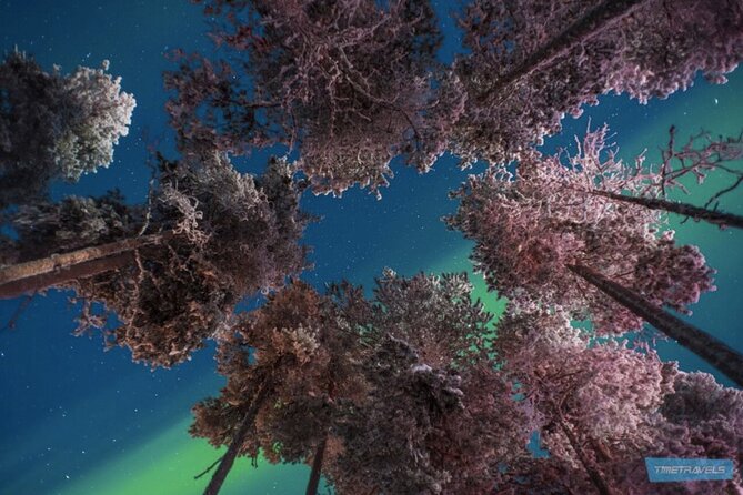 Aurora Hunt for 3 Hours in Saariselkä - Tour Inclusions and Exclusions