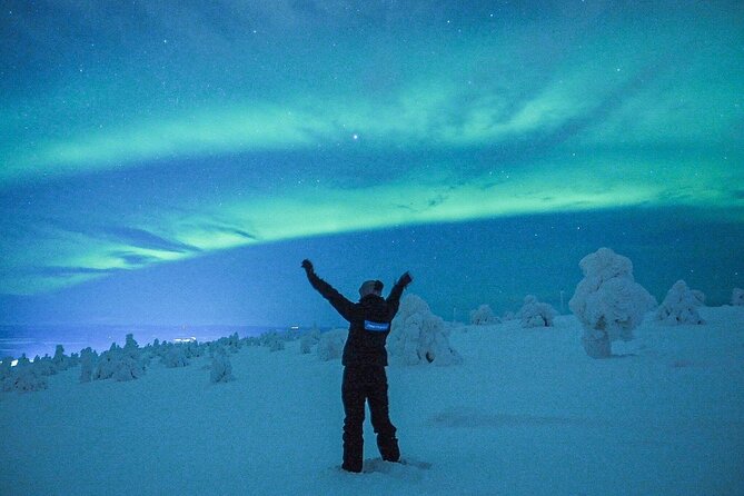 Aurora Hunt for 3 Hours in Saariselkä - Tour Logistics and Restrictions
