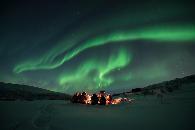 Aurora Hunt Tour With Citizen Science From Tromso - Professional Photos Included - Confirmation and Accessibility
