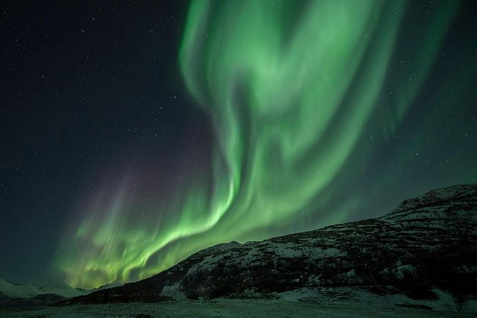 Aurora Hunt Tour With Citizen Science From Tromso - Professional Photos Included - Cancellation Policy