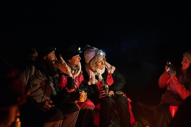 Aurora Hunt Tour With Citizen Science From Tromso - Professional Photos Included - Guest Reviews