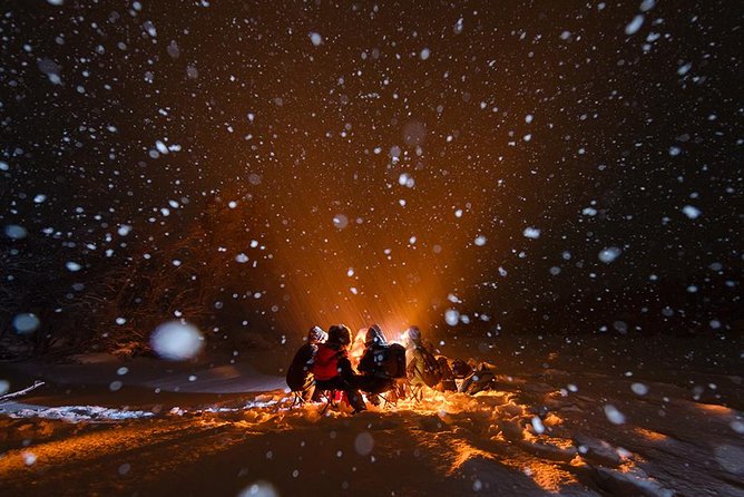 Aurora Hunt Tour With Citizen Science From Tromso - Professional Photos Included - Booking and Contact