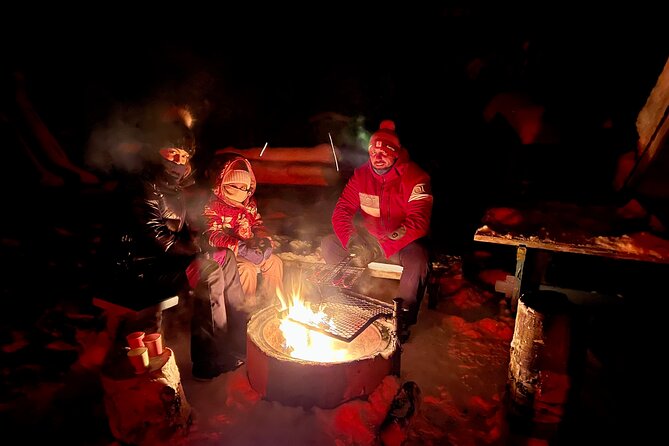 Aurora Hunting & Photography Tour - Experienced Guides