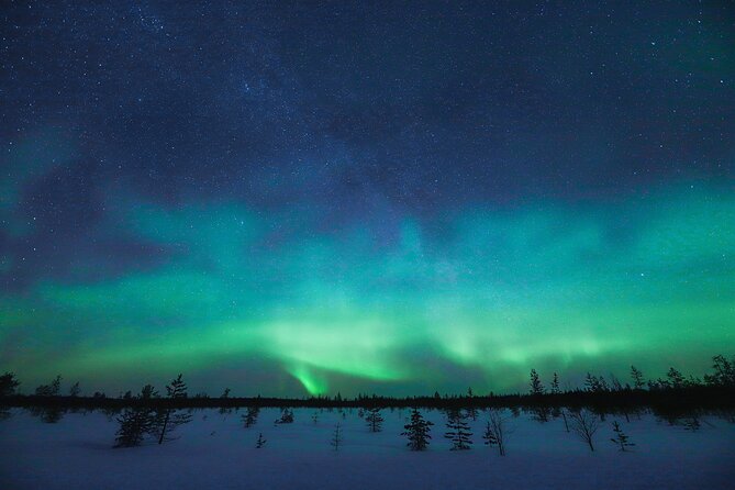 Aurora Hunting Pro Tour - Photography and Observations