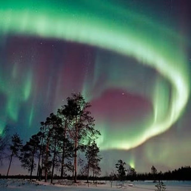 Aurora Hunting With Electric Snow Scooters - Included Services