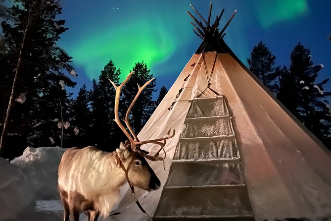 Aurora Hunting With Reindeer Caravan - Immersive Cultural Experience