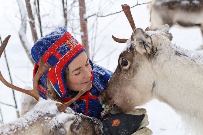 Aurora Hunting With Reindeer Caravan - Reindeer Feeding and Sledding