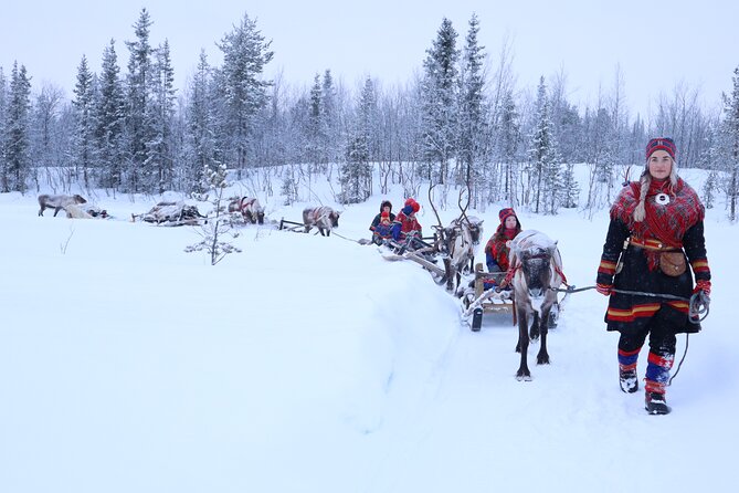Aurora Hunting With Reindeer Caravan - Group Size and Accessibility
