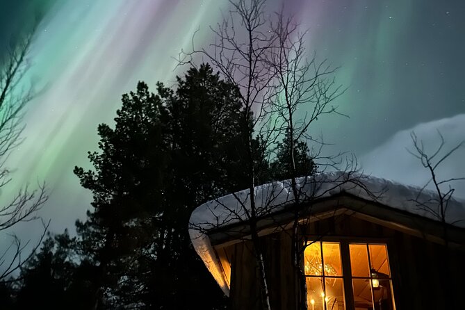 Aurora Hunting With Reindeer Caravan - Exceptional Guest Reviews