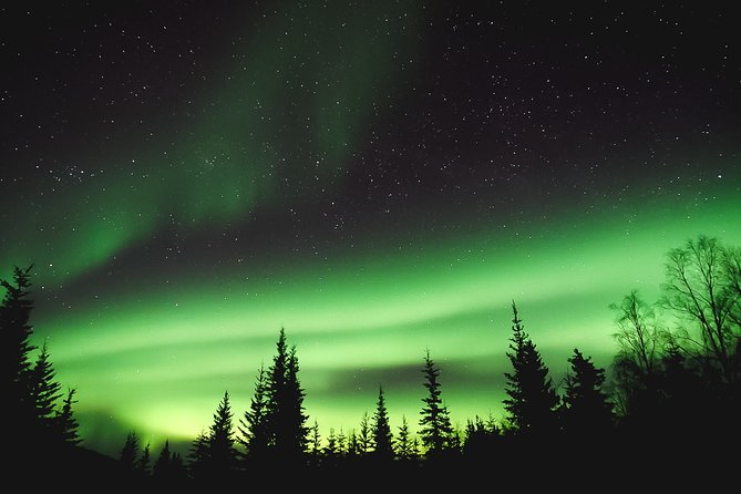 Aurora Lodge Viewing - Highlights and Inclusions