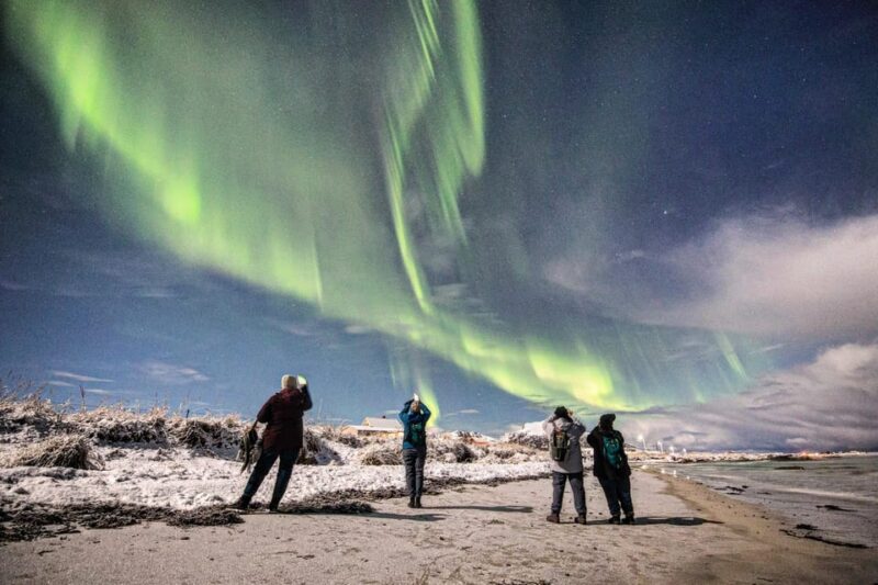 Aurora Lofoten, Northern Lights Centre Visit - Key Points