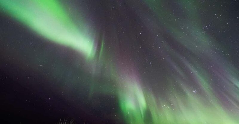 Aurora Lofoten, Northern Lights Centre Visit - Experience Highlights
