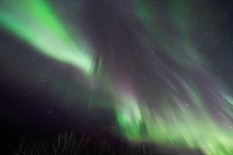 Aurora Lofoten, Northern Lights Centre Visit - Included Services