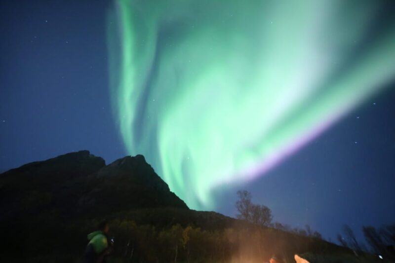 Aurora Optimum: Best 3-Night Forecast - Meeting Location and Availability
