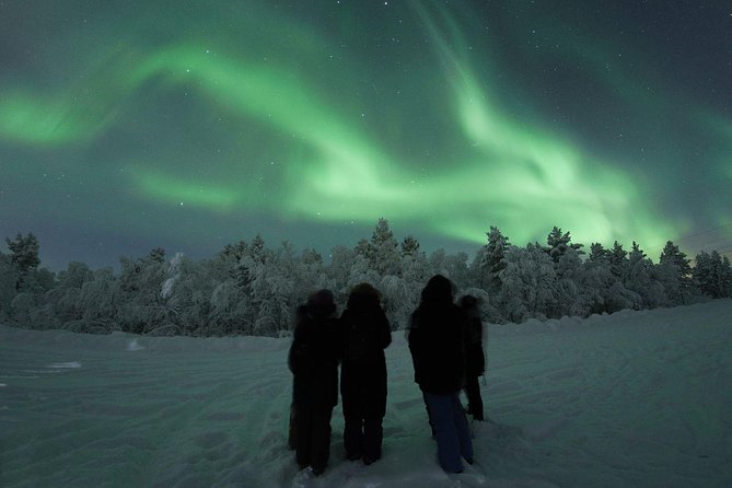 Aurora Photography Hunting Experience in Rovaniemi - Northern Lights Sightings