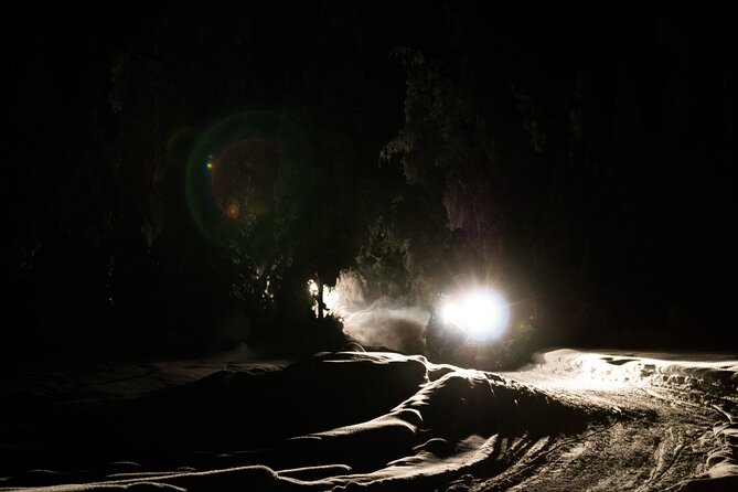 Aurora Sleighers Snowmobile Tour in Fairbanks - Age and Health Restrictions