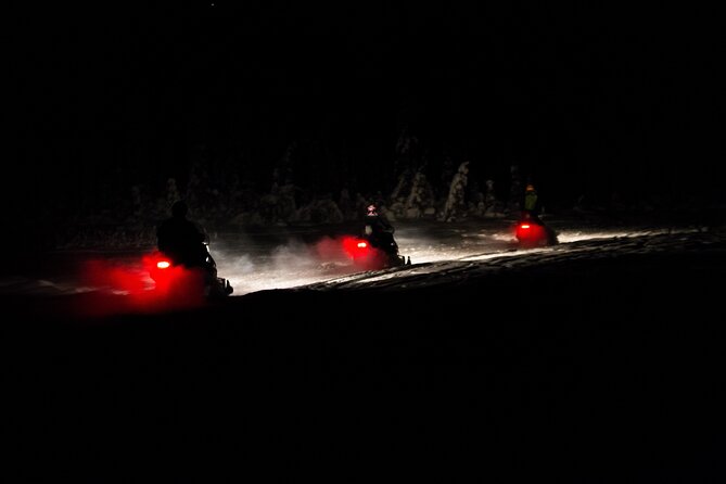 Aurora Sleighers Snowmobile Tour in Fairbanks - Group Size and Booking