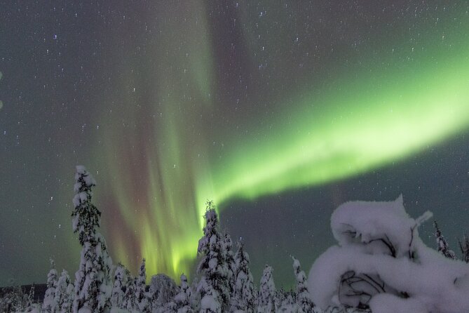Aurora Sleighers Snowmobile Tour in Fairbanks - Exhilarating Snowmobile Experience