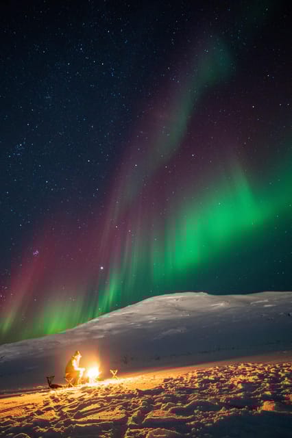 Aurora Tour For All - Important Information