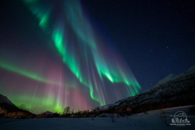 Aurora Tour For All - Informative Session