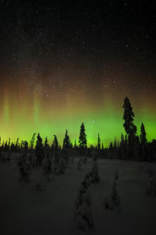 Aurora Trek With Snowshoes - Good To Know