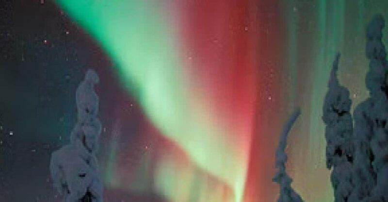 Aurora Trek With Snowshoes - Experience Highlights