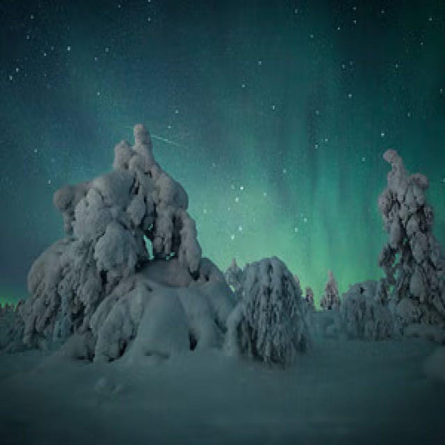 Aurora Trek With Snowshoes - Frequently Asked Questions