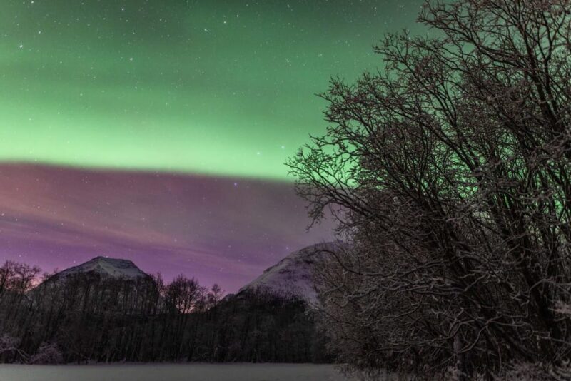 Aurora With Campfire - Boukersen Heim Guests Only - Guided Experience and Highlights