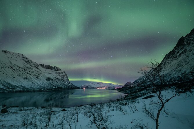 Auroras Hunt - Tour in English, Northern Lights Chase in English - Snacks and Beverages