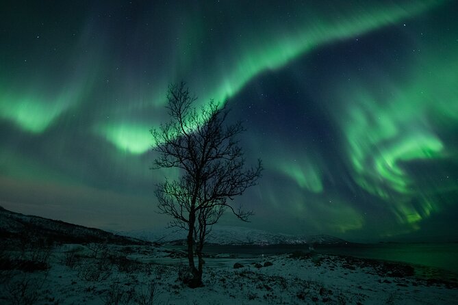 Auroras Hunt - Tour in English, Northern Lights Chase in English - Transportation and Gear