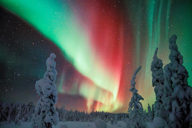 Auroras in Saariselkä – Northern Lights Photo Tour by Car and on Foot - Snacks and Meals