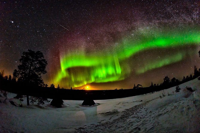 Auroras in Saariselkä – Northern Lights Photo Tour by Car and on Foot - Safari Desk Support