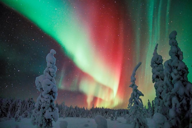 Auroras - Northern Lights Tours by Aurora Experts - Rovaniemi - Pricing and Reviews