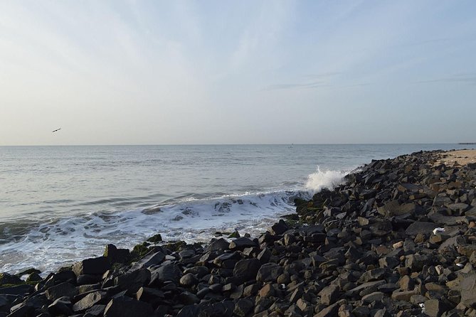 Auroville and Pondicherry Tour From Chennai - Reviews and Feedback