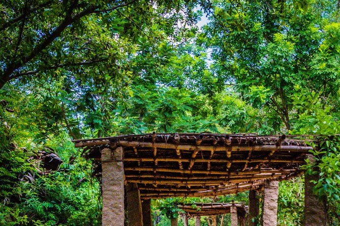 Auroville Guided Walking Tour - Exploring Auroville