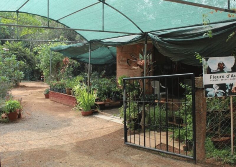 Auroville Guided Walking Tour - What to Bring