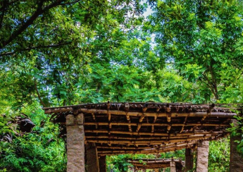 Auroville Guided Walking Tour - Customer Reviews