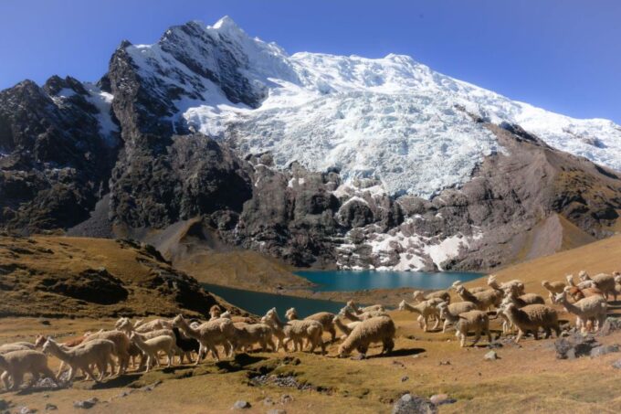 Ausangate Tour 7 Lagoons With Hot Springs Pacchanta - Frequently Asked Questions