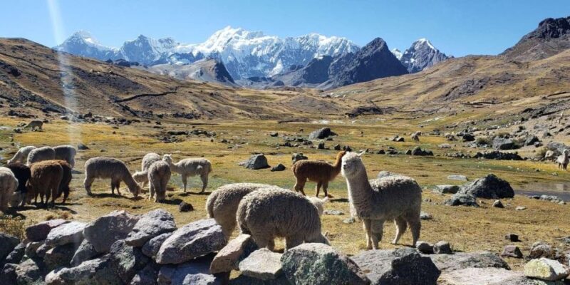 Ausangates Hike - Seven Glacial Lakes - Scenic Wonders Along the Way