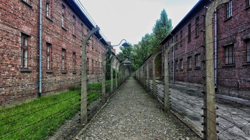 Auschwitz-Birkenau and Krakow Private Car Trip From Katowice - Krakow Private Walking Tour