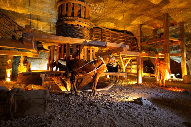 Auschwitz-Birkenau and Wieliczka Salt Mine Full Day Tour - Booking and Contact Information