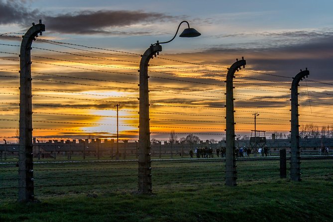 Auschwitz Birkenau and Wieliczka Salt Mine- Full Day Tour With Private Transport - Reviews and Pricing