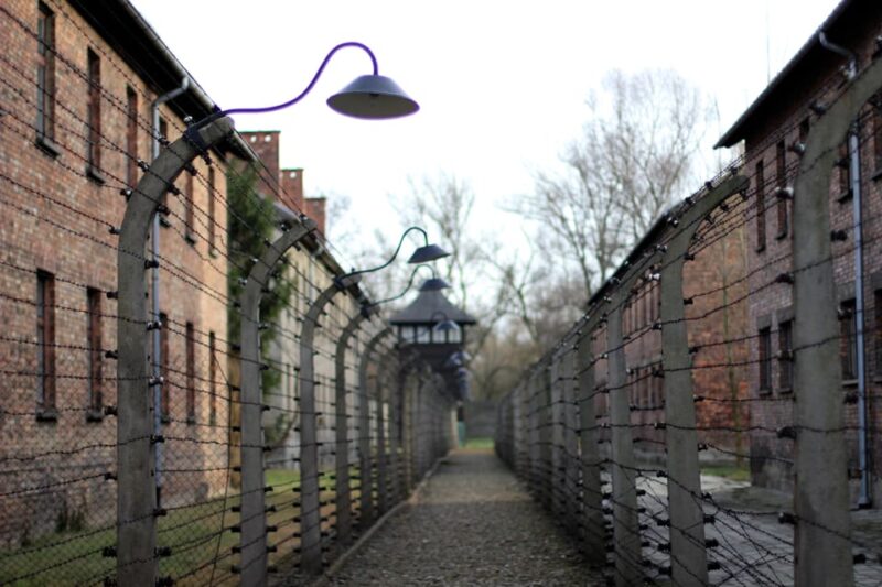 Auschwitz-Birkenau Full-Day Tour From Lodz by Private Car - Auschwitz-Birkenau Memorial and Museum