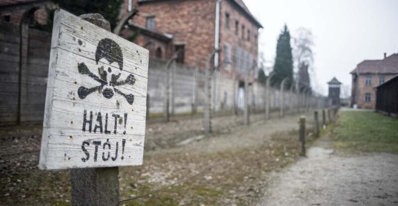 Auschwitz-Birkenau Full-Day Tour From Lodz by Private Car - Highlights and Experience