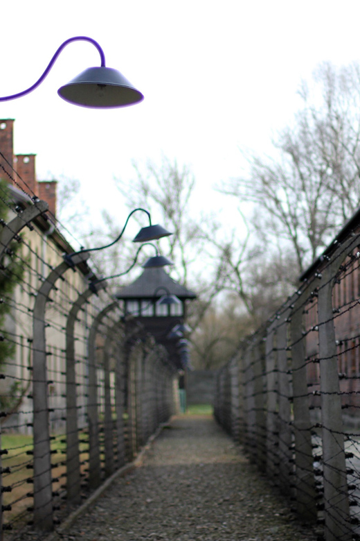 Auschwitz-Birkenau Full-Day Tour From Lodz by Private Car - Private Transport and Accessibility