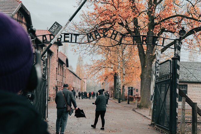 Auschwitz Birkenau Guided Tour From Krakow Private Chauffeur - Transportation Details