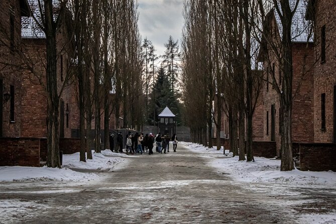Auschwitz Birkenau Guided Tour With Private Transport - Key Points