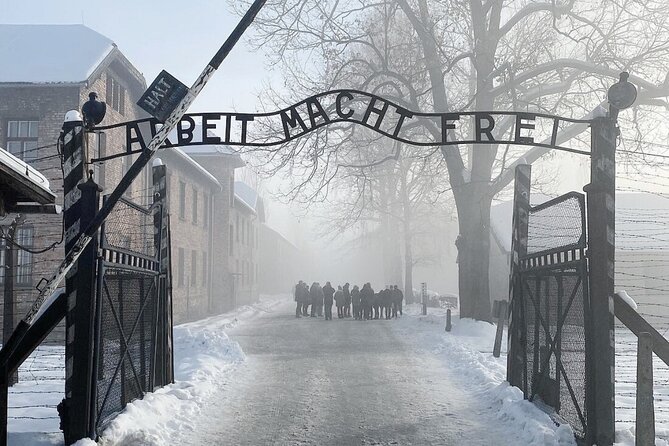 Auschwitz-Birkenau Guided Tour With Ticket & Transfer From Krakow - Entry Fees and Transportation