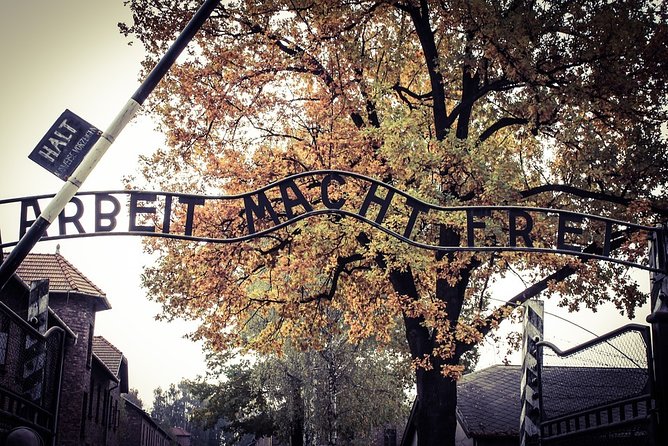 Auschwitz-Birkenau Live Guided Tour and Transfer From Krakow - Learning Nazi History