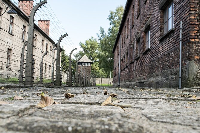 Auschwitz & Birkenau: Live-Guided Tour With Transportation and Hotel Pickup - Tour Inclusions
